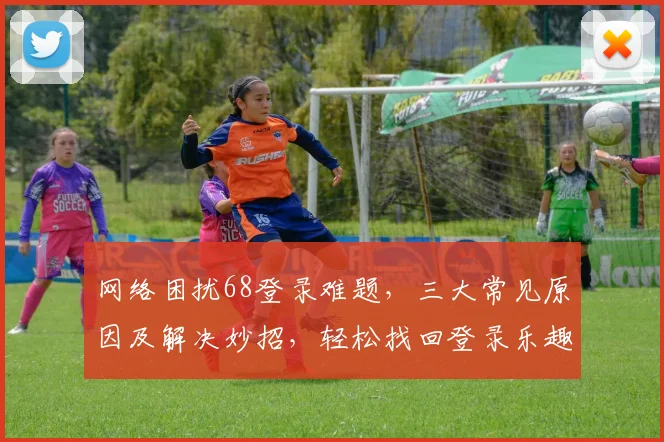 网络困扰68登录难题，三大常见原因及解决妙招，轻松找回登录乐趣，速来围观