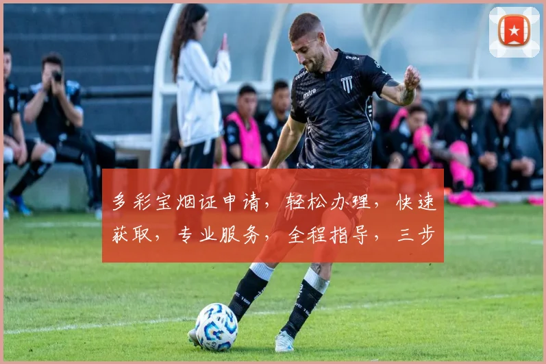 多彩宝烟证申请，轻松办理，快速获取，专业服务，全程指导，三步完成