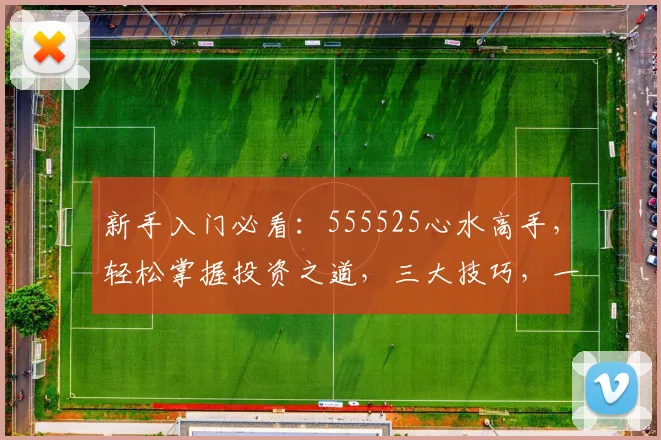 新手入门必看：555525心水高手，轻松掌握投资之道，三大技巧，一步到位