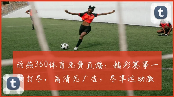 雨燕360体育免费直播，精彩赛事一网打尽，高清无广告，尽享运动激情，不容错过
