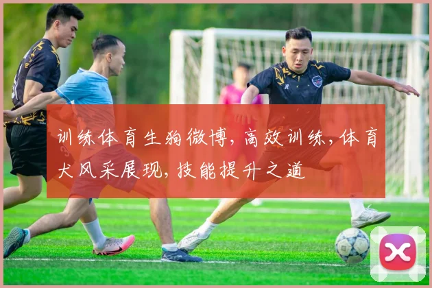 训练体育生狗微博,高效训练,体育犬风采展现,技能提升之道